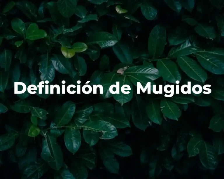 Definición de Mugidos