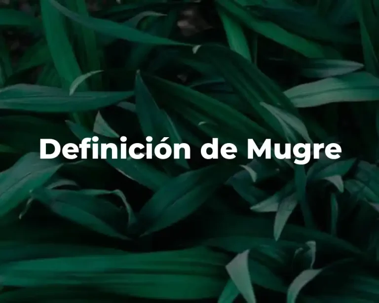 Definición de Mugre