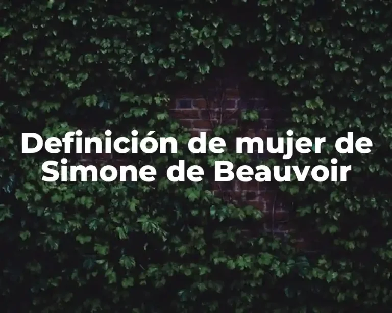 Definición de mujer de Simone de Beauvoir