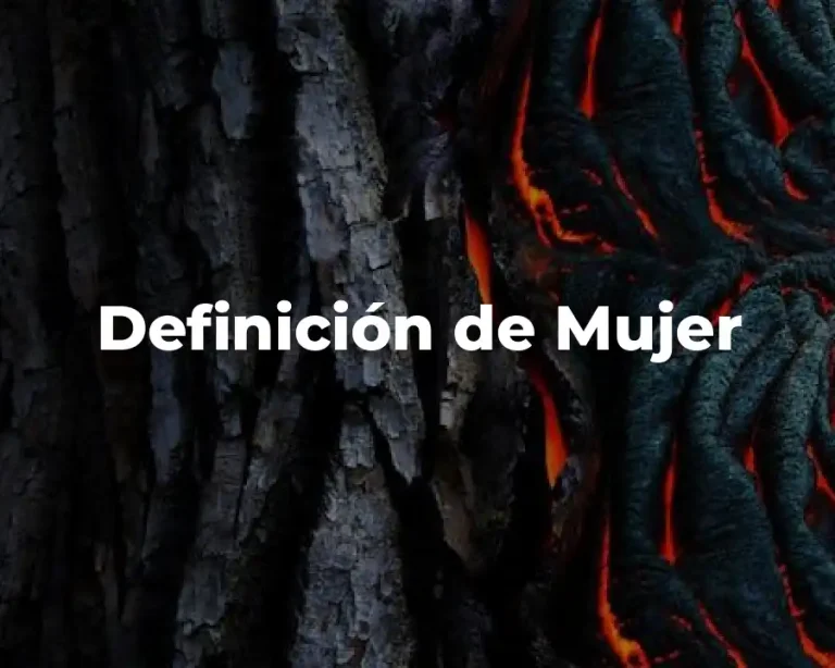 Definición de Mujer