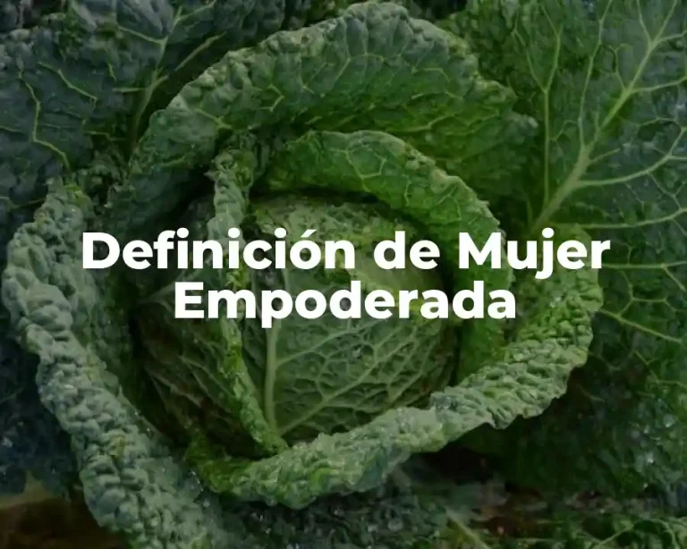 Definición de Mujer Empoderada