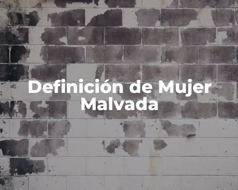 Definición de Mujer Malvada