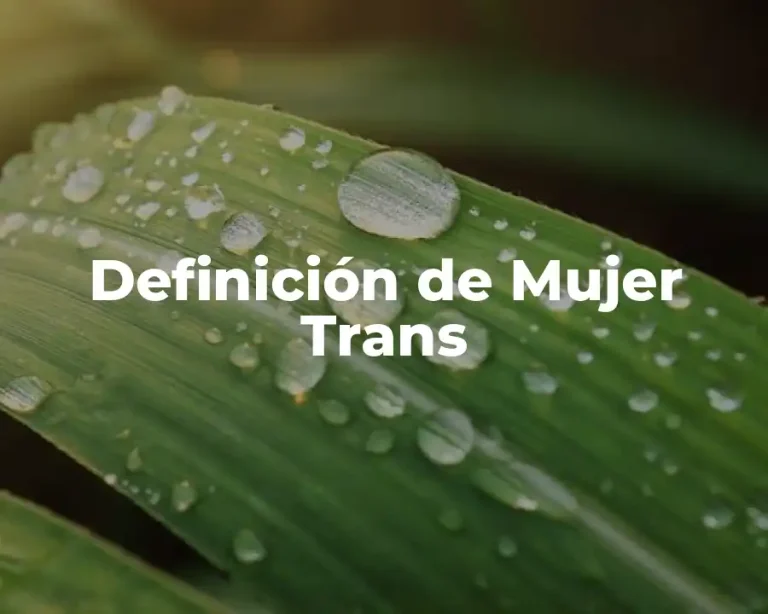 Definición de Mujer Trans