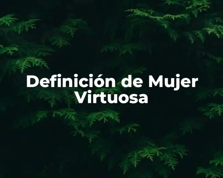 Definición de Mujer Virtuosa