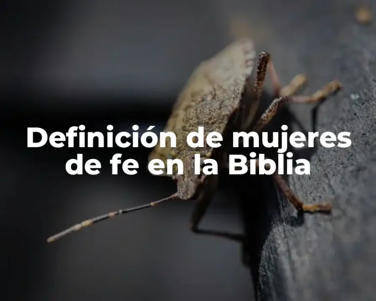 Definición de mujeres de fe en la Biblia
