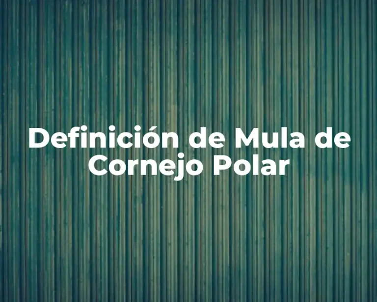 Definición de Mula de Cornejo Polar