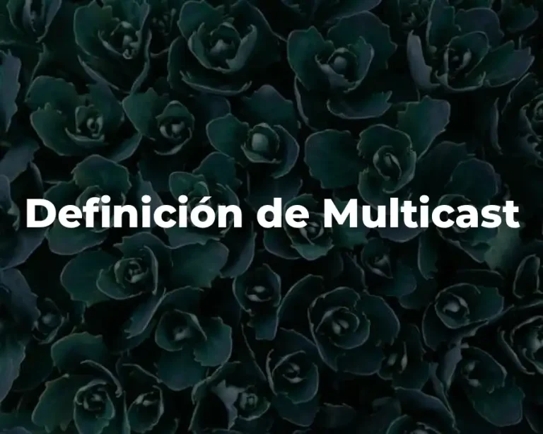 Definición de Multicast