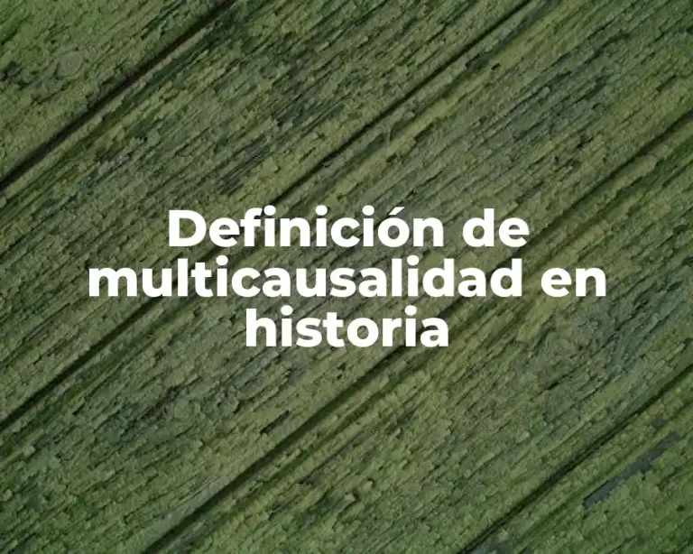 Definición de multicausalidad en historia