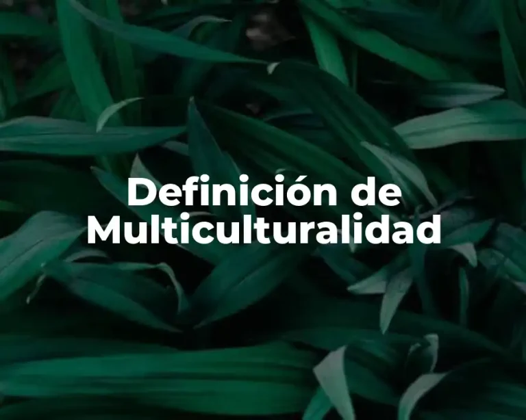 Definición de Multiculturalidad