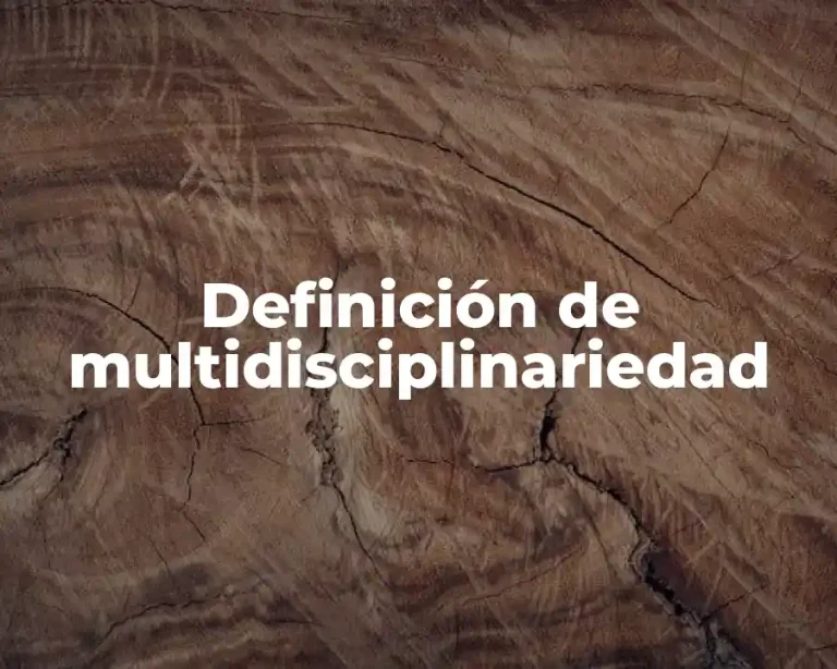 Definición de multidisciplinariedad