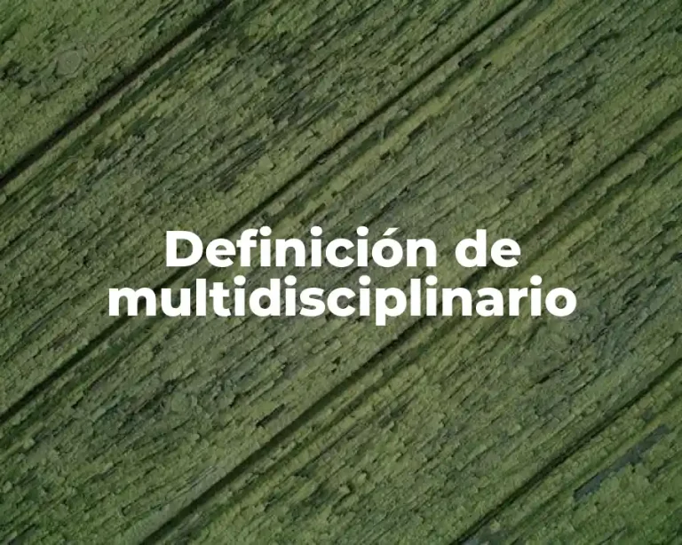 Definición de multidisciplinario