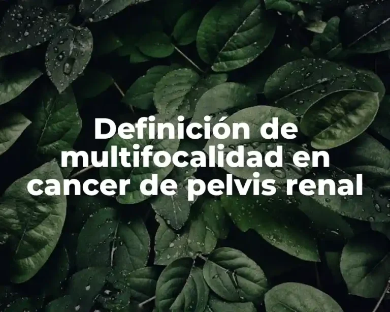 Definición de multifocalidad en cancer de pelvis renal