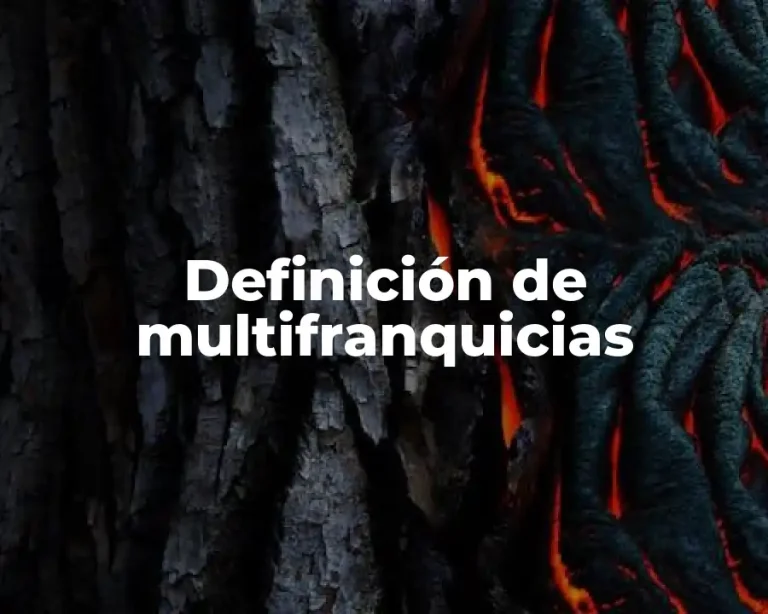 Definición de multifranquicias
