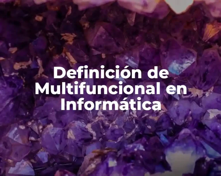 Definición de Multifuncional en Informática