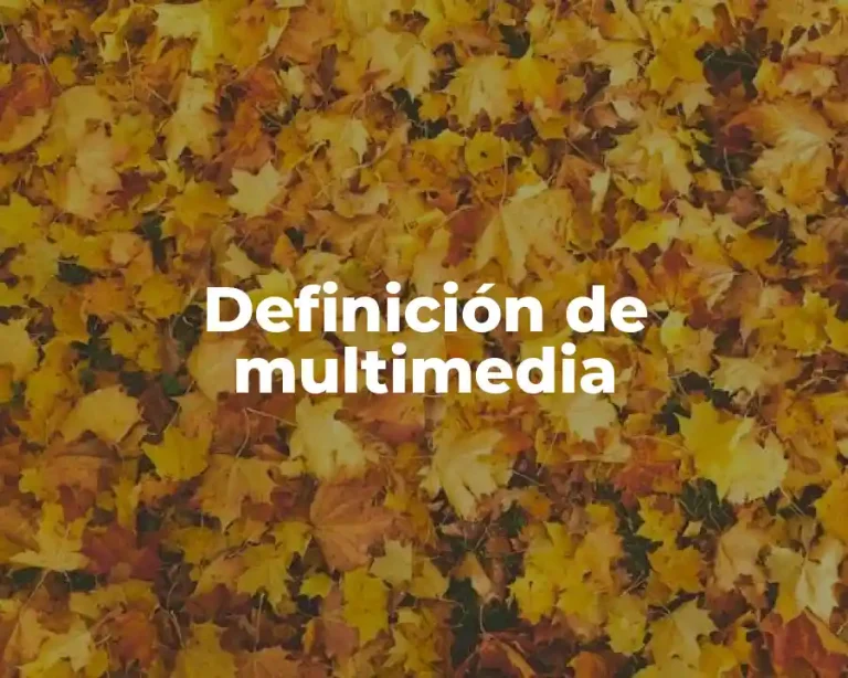 Definición de multimedia