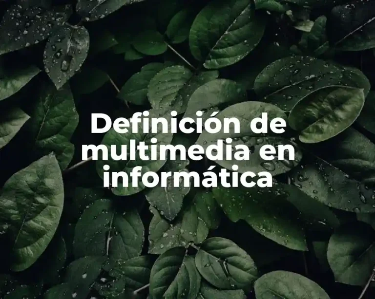 Definición de multimedia en informática