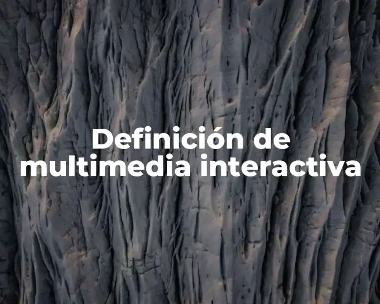 Definición de multimedia interactiva