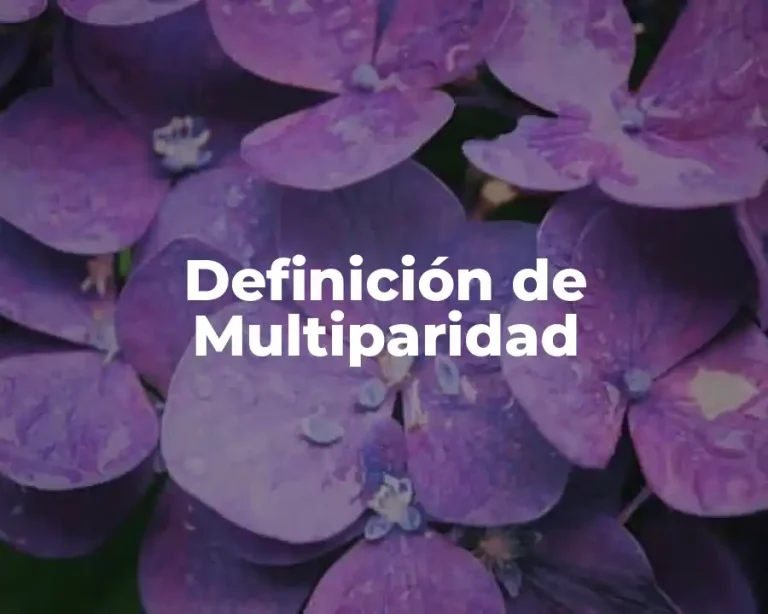 Definición de Multiparidad