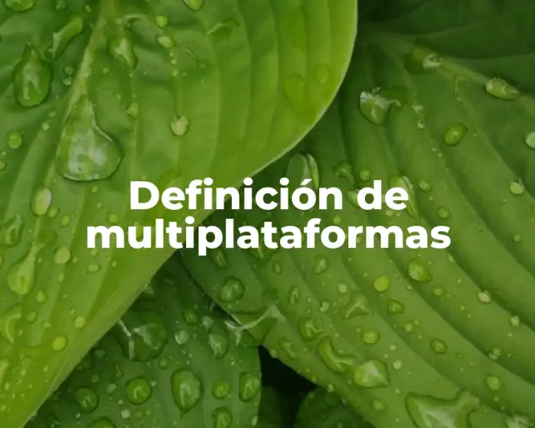 Definición de multiplataformas
