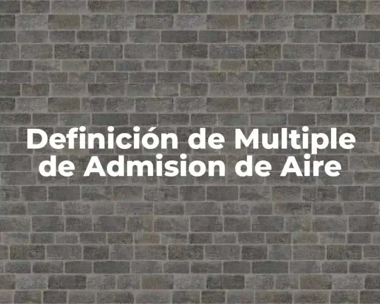 Definición de Multiple de Admision de Aire