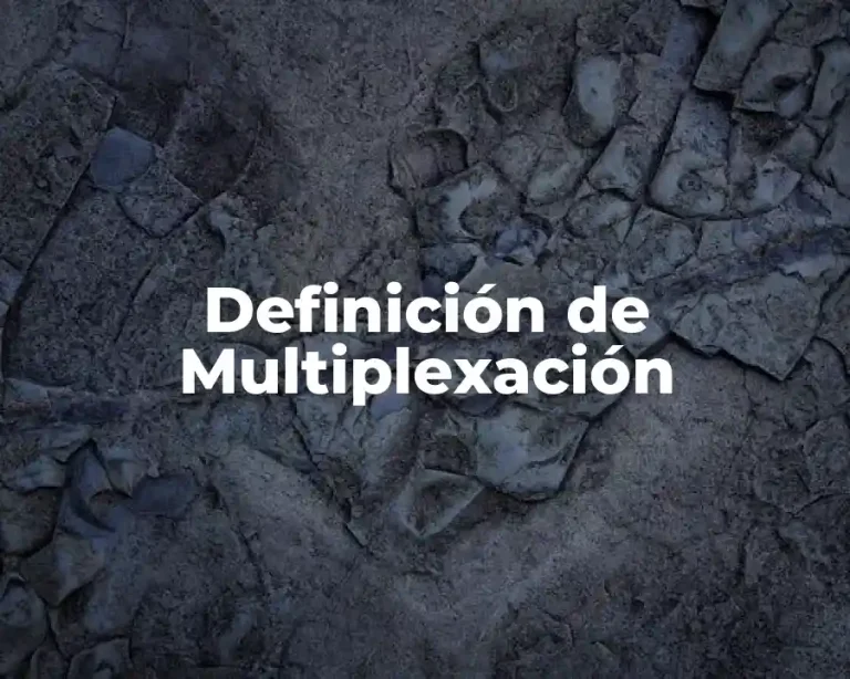 Definición de Multiplexación