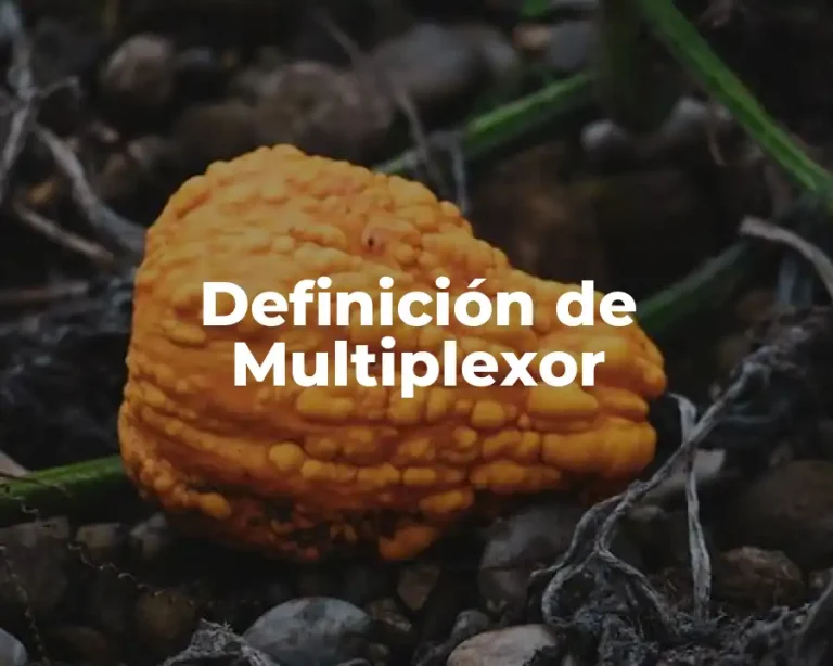 Definición de Multiplexor