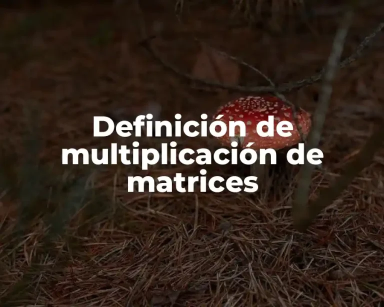 Definición de multiplicación de matrices