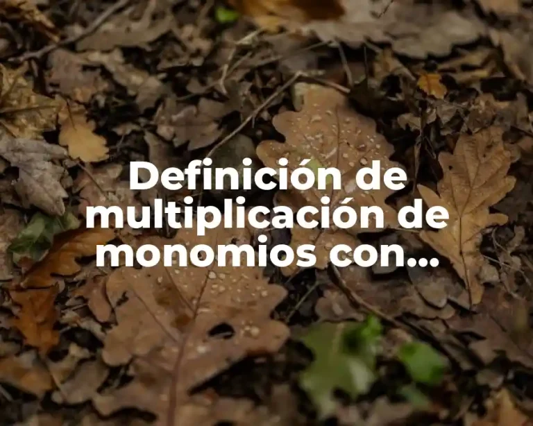 Definición de multiplicación de monomios con fracciones