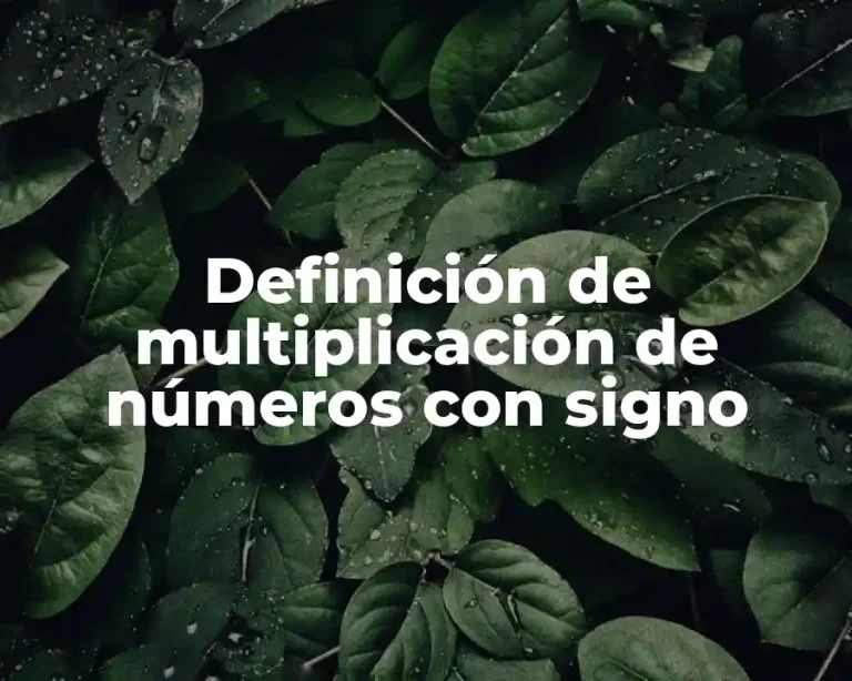 Definición de multiplicación de números con signo