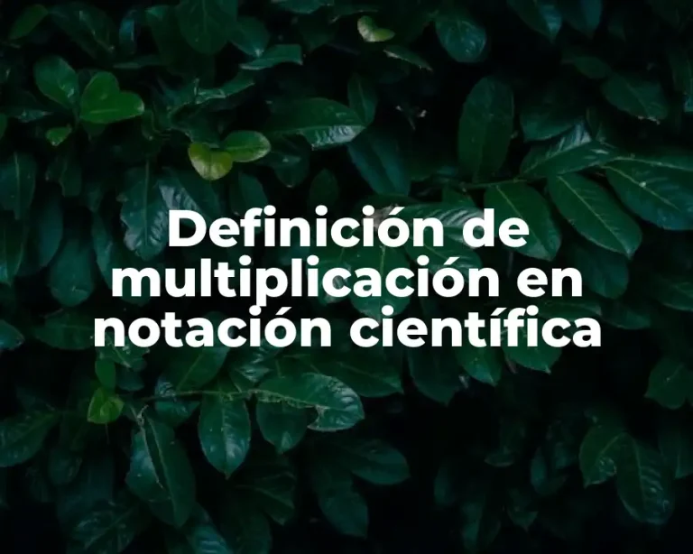 Definición de multiplicación en notación científica