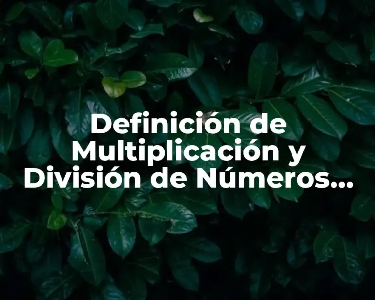 Definición de Multiplicación y División de Números con Símbolo