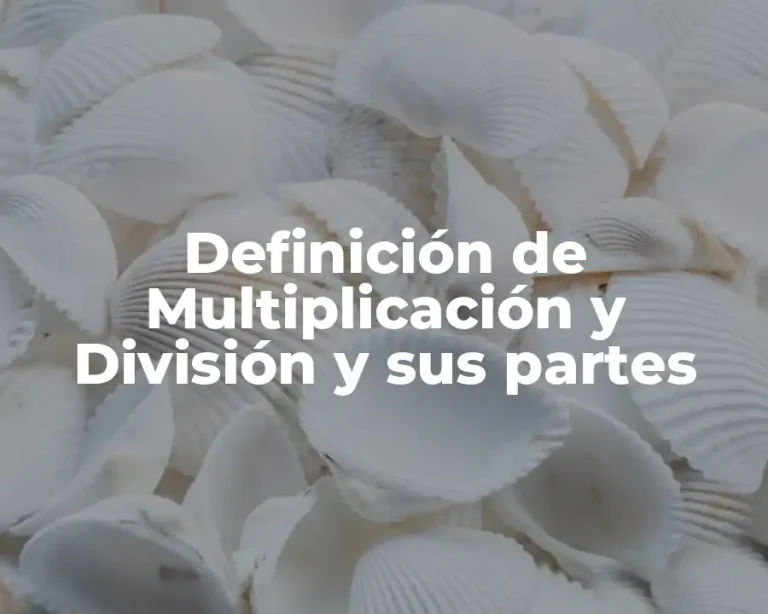 Definición de Multiplicación y División y sus partes