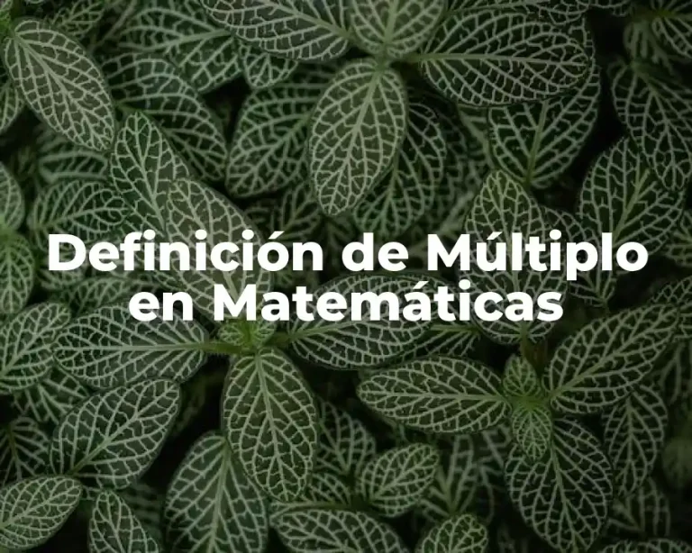 Definición de Múltiplo en Matemáticas