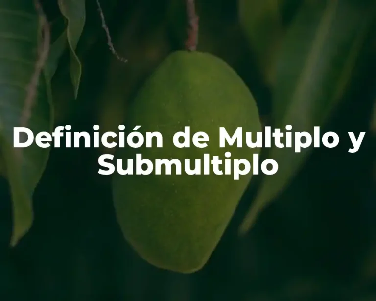 Definición de Multiplo y Submultiplo