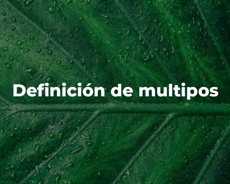 Definición de multipos