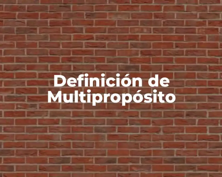 Definición de Multipropósito