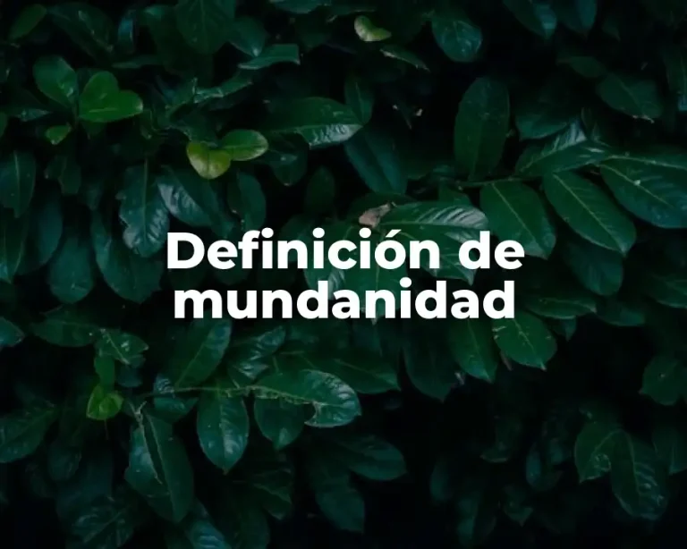 Definición de mundanidad