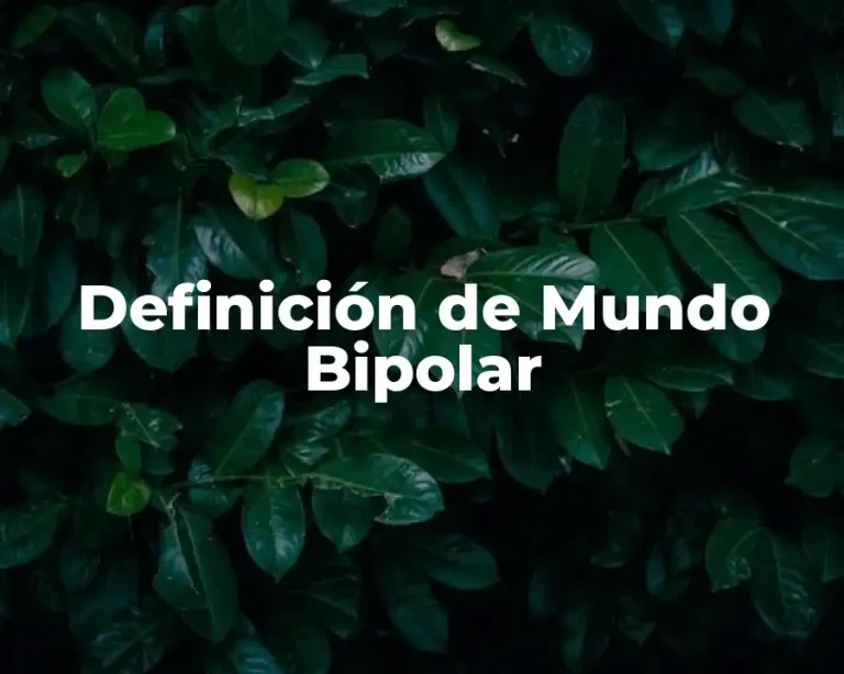 Definición de Mundo Bipolar