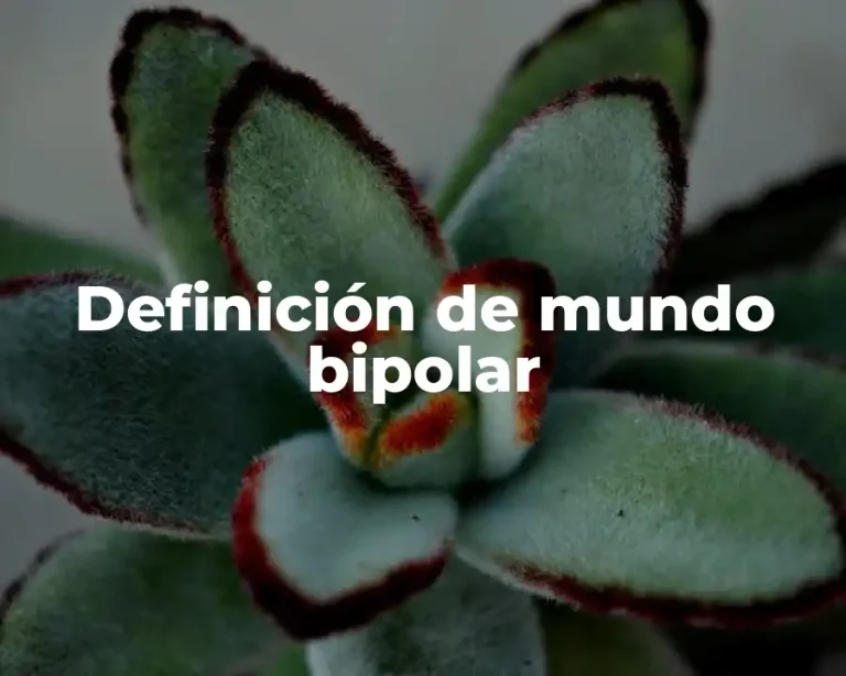 Definición de mundo bipolar