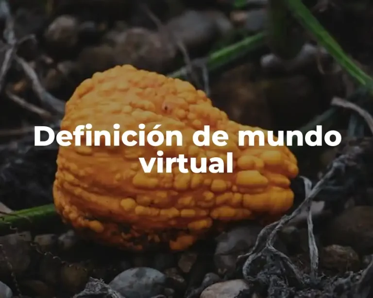 Definición de mundo virtual