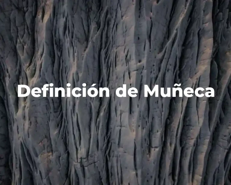 Definición de Muñeca