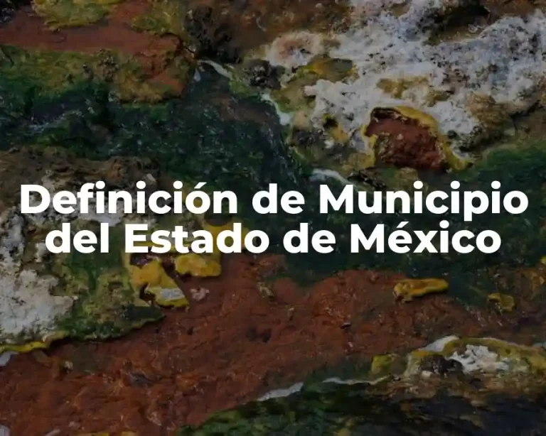 Definición de Municipio del Estado de México