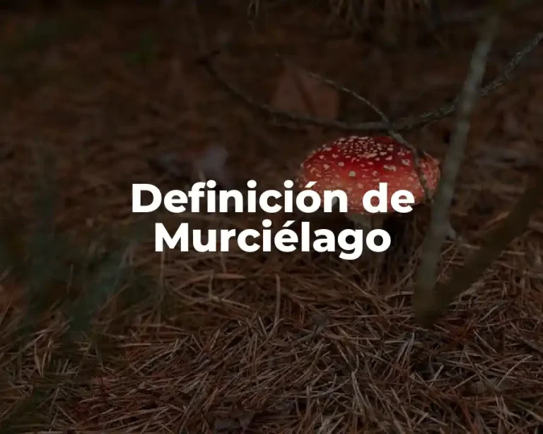 Definición de Murciélago