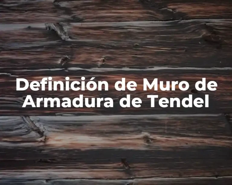 Definición de Muro de Armadura de Tendel