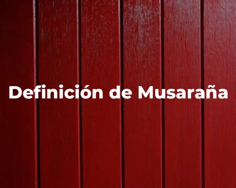 Definición de Musaraña