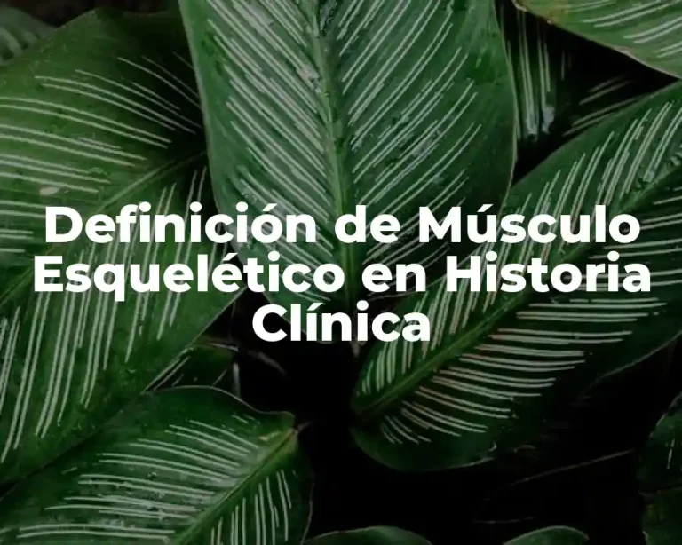 Definición de Músculo Esquelético en Historia Clínica