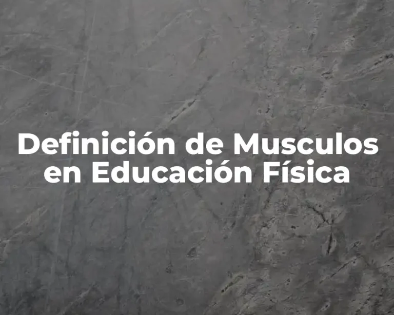 Definición de Musculos en Educación Física