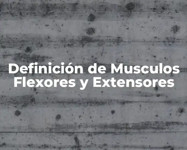 Definición de Musculos Flexores y Extensores