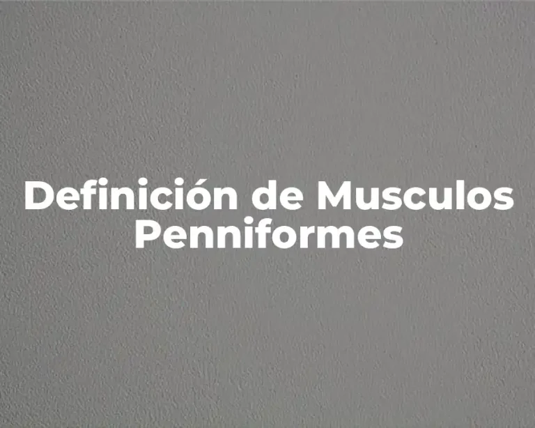 Definición de Musculos Penniformes