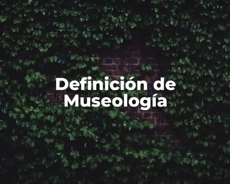 Definición de Museología